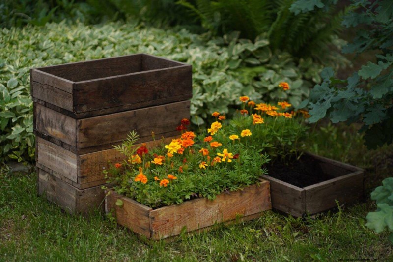 18 Heat‑Resistant Annuals That Keep Blooming Through Sweltering Summers