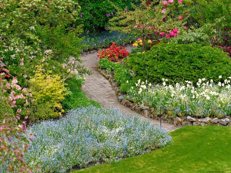 18 Heat‑Resistant Annuals That Keep Blooming Through Sweltering Summers