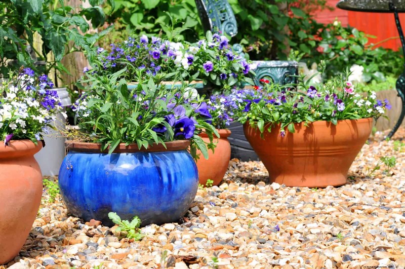 17 Container Garden Ideas to Transform Your Late‑Summer Patio into a Lively Oasis