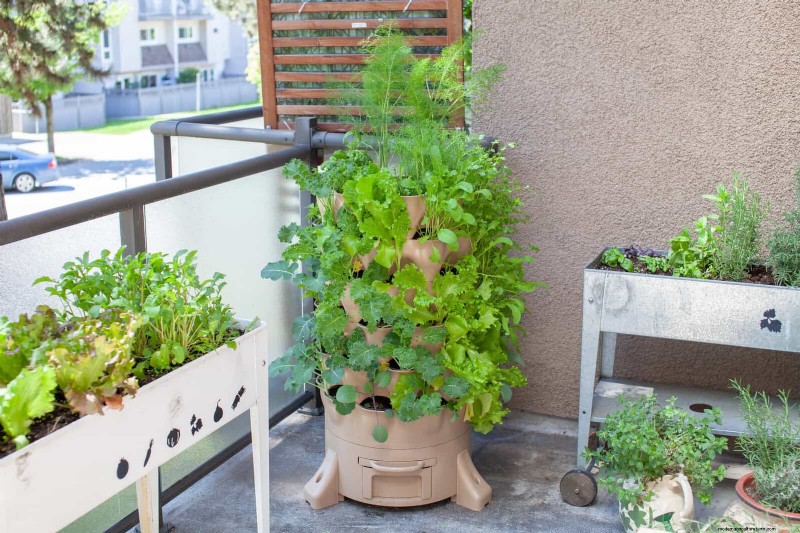 17 Container Garden Ideas to Transform Your Late‑Summer Patio into a Lively Oasis