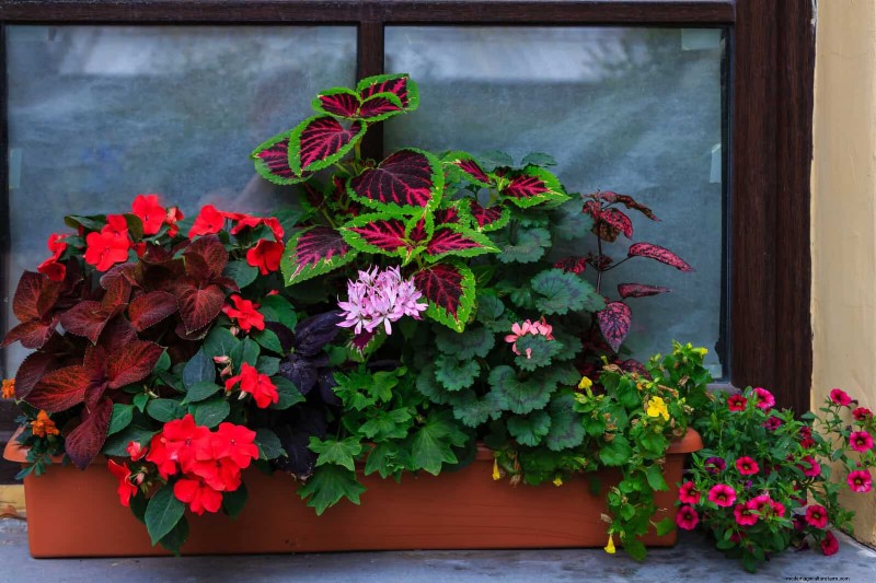 17 Container Garden Ideas to Transform Your Late‑Summer Patio into a Lively Oasis