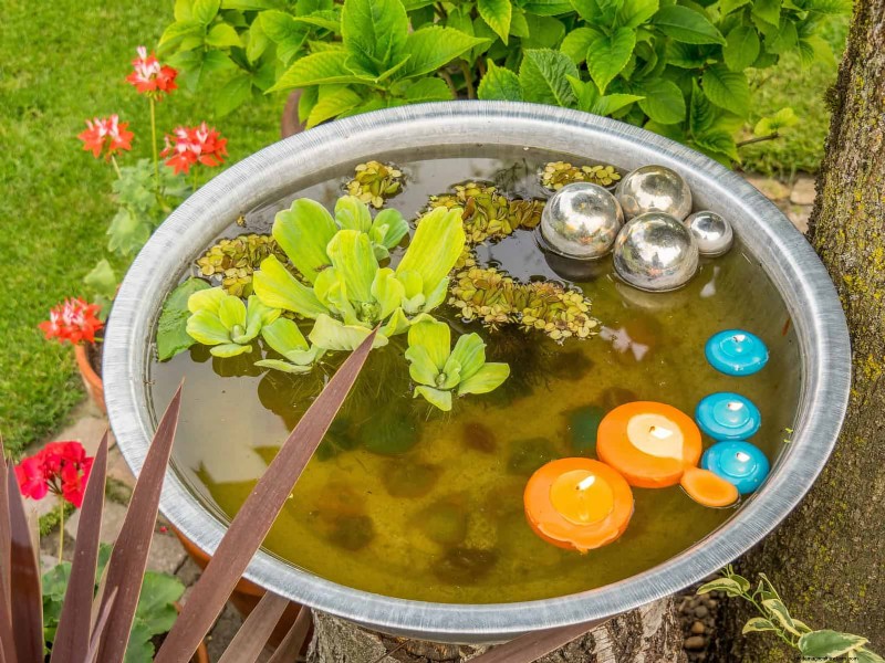 17 Container Garden Ideas to Transform Your Late‑Summer Patio into a Lively Oasis