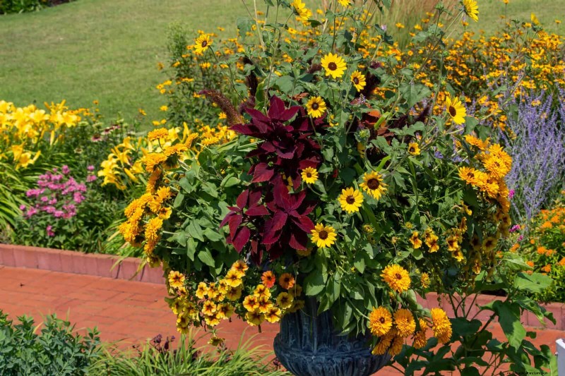 17 Container Garden Ideas to Transform Your Late‑Summer Patio into a Lively Oasis
