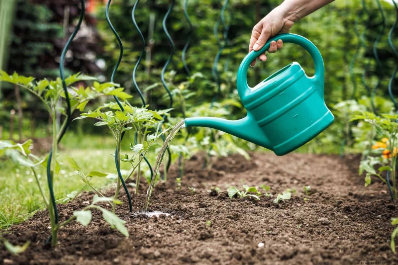 Don’t Plant Late-Summer Veggies Until You Read These 9 Heat-Proofing Tips