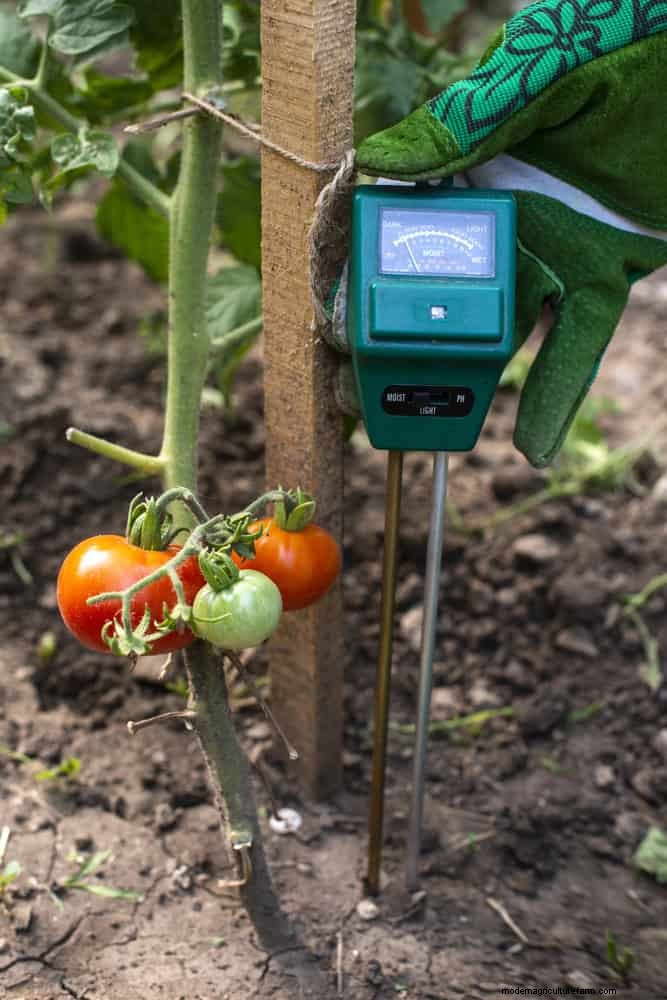 Don’t Plant Late-Summer Veggies Until You Read These 9 Heat-Proofing Tips