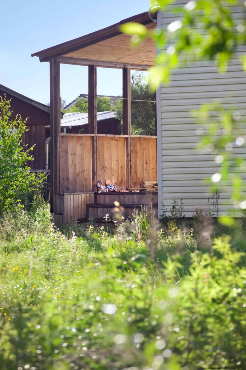 Will an Overgrown Yard Lead to Fines? Understanding Weed Ordinances and How to Stay Compliant