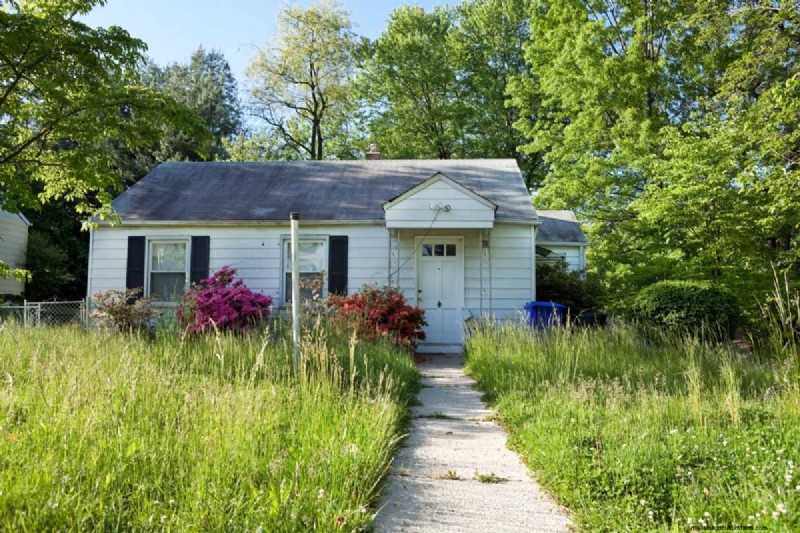 Will an Overgrown Yard Lead to Fines? Understanding Weed Ordinances and How to Stay Compliant