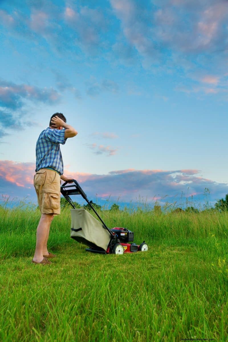 Will an Overgrown Yard Lead to Fines? Understanding Weed Ordinances and How to Stay Compliant