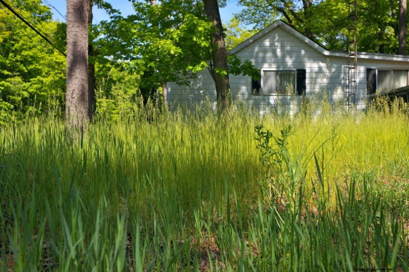 Will an Overgrown Yard Lead to Fines? Understanding Weed Ordinances and How to Stay Compliant