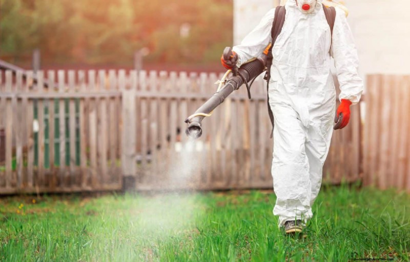 Will an Overgrown Yard Lead to Fines? Understanding Weed Ordinances and How to Stay Compliant