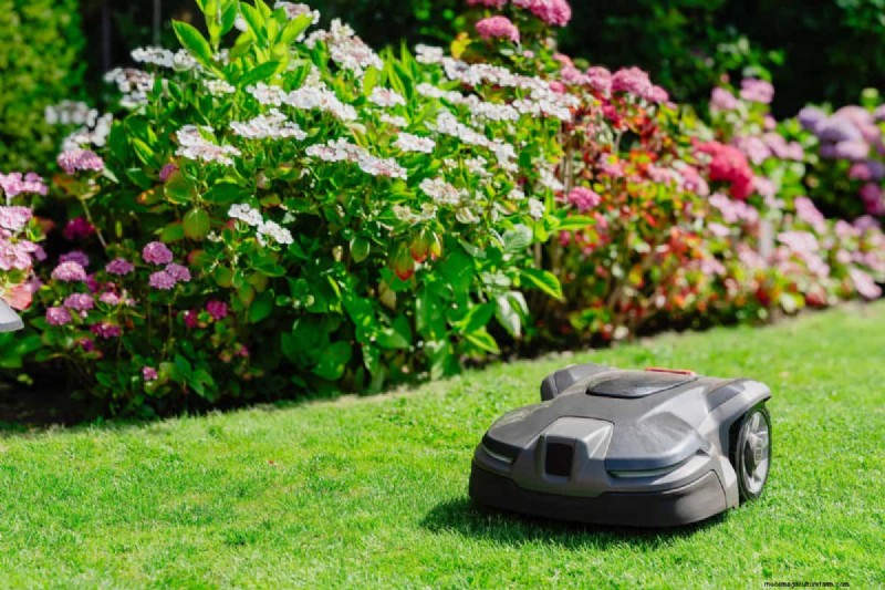 Will an Overgrown Yard Lead to Fines? Understanding Weed Ordinances and How to Stay Compliant