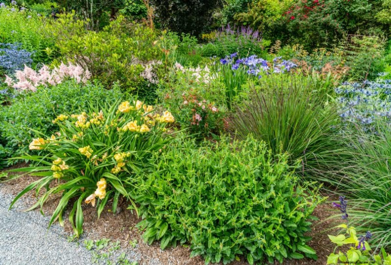 Will an Overgrown Yard Lead to Fines? Understanding Weed Ordinances and How to Stay Compliant