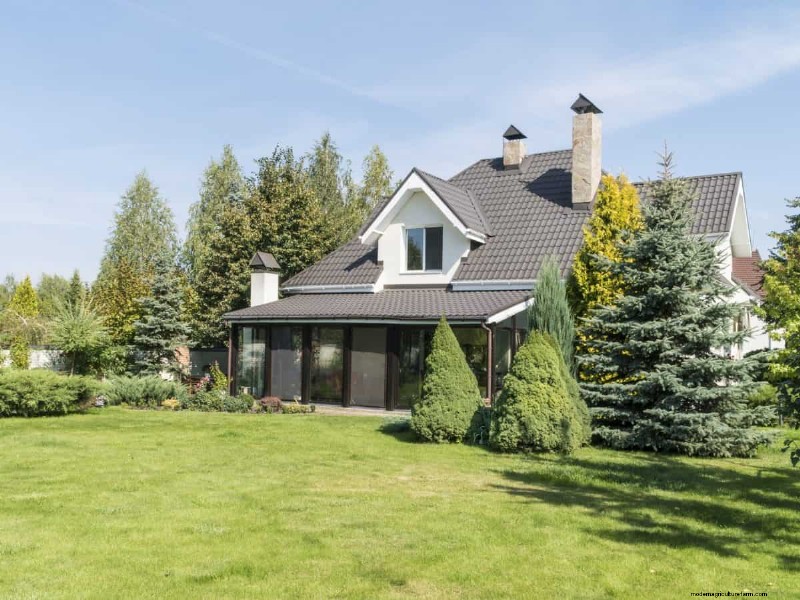 Keep Your Lawn Lush and Green This Summer: Expert Care Tips