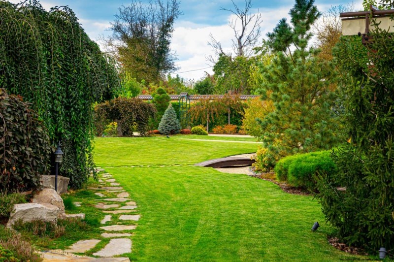 Keep Your Lawn Lush and Green This Summer: Expert Care Tips