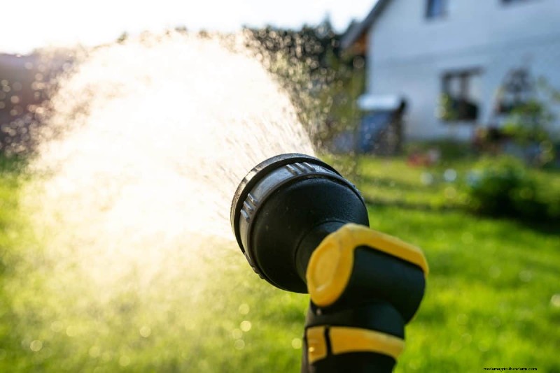 Keep Your Lawn Lush and Green This Summer: Expert Care Tips
