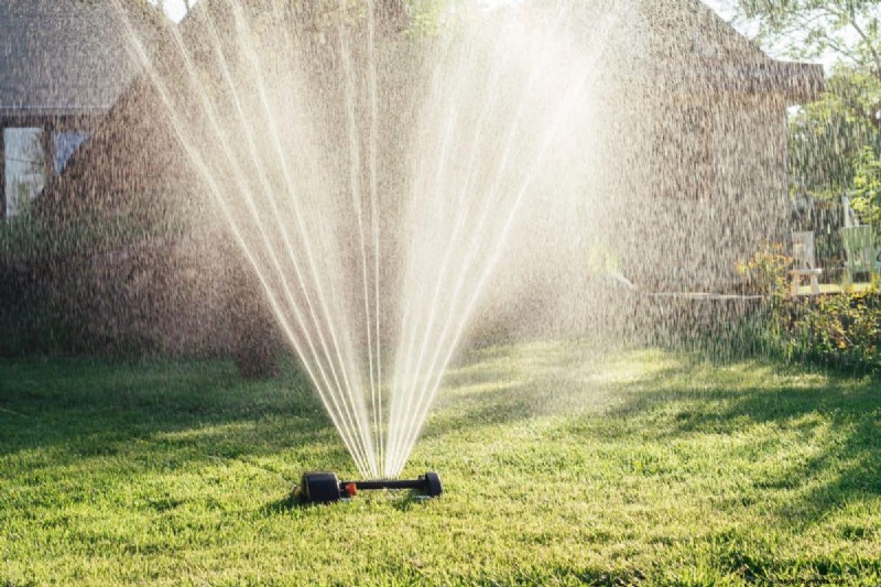 Keep Your Lawn Lush and Green This Summer: Expert Care Tips