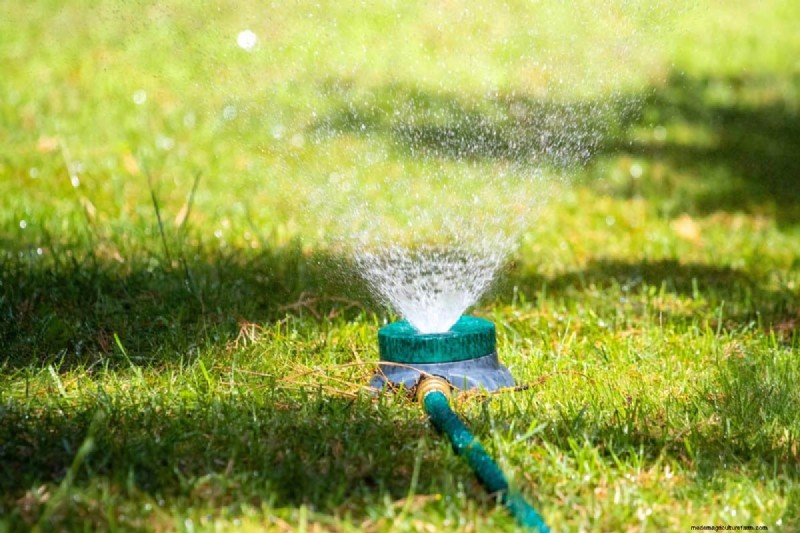 Keep Your Lawn Lush and Green This Summer: Expert Care Tips