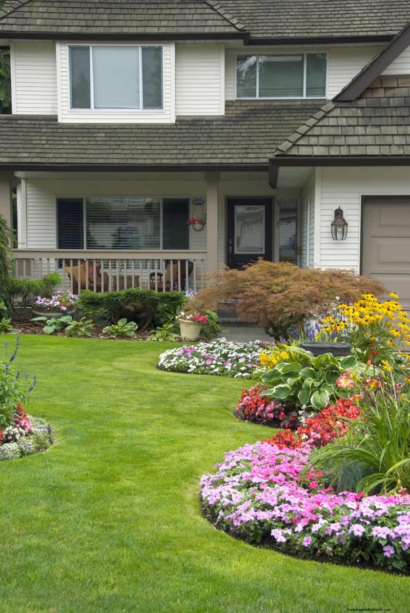 Keep Your Lawn Lush and Green This Summer: Expert Care Tips