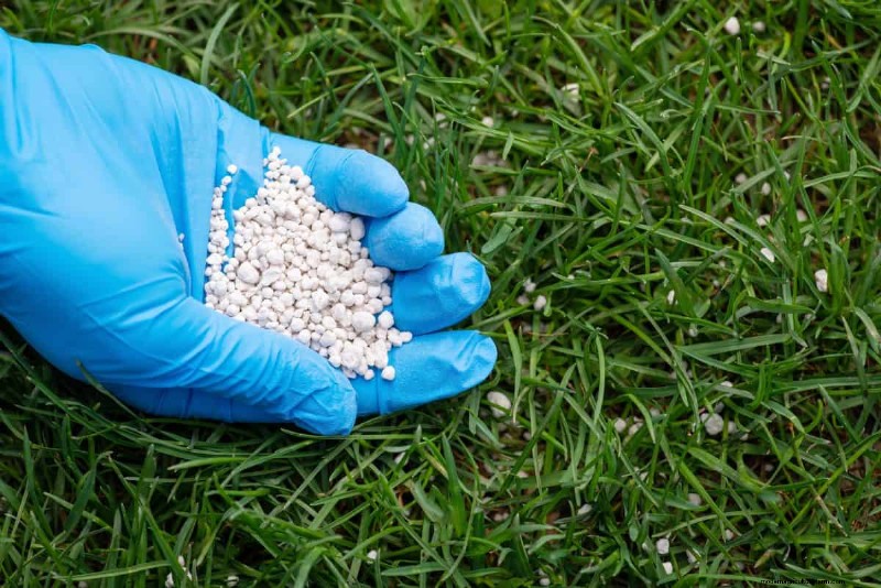 Keep Your Lawn Lush and Green This Summer: Expert Care Tips