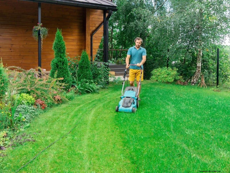 Keep Your Lawn Lush and Green This Summer: Expert Care Tips