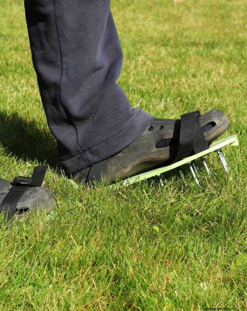 Keep Your Lawn Lush and Green This Summer: Expert Care Tips