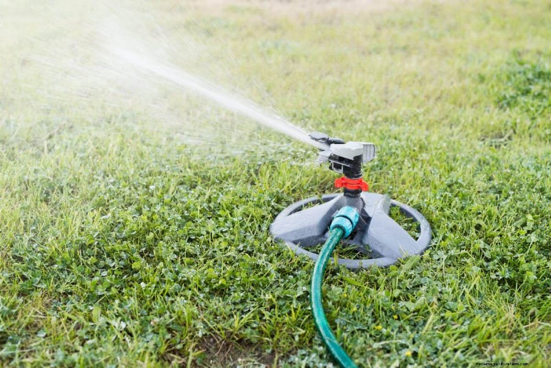 Keep Your Lawn Lush and Green This Summer: Expert Care Tips