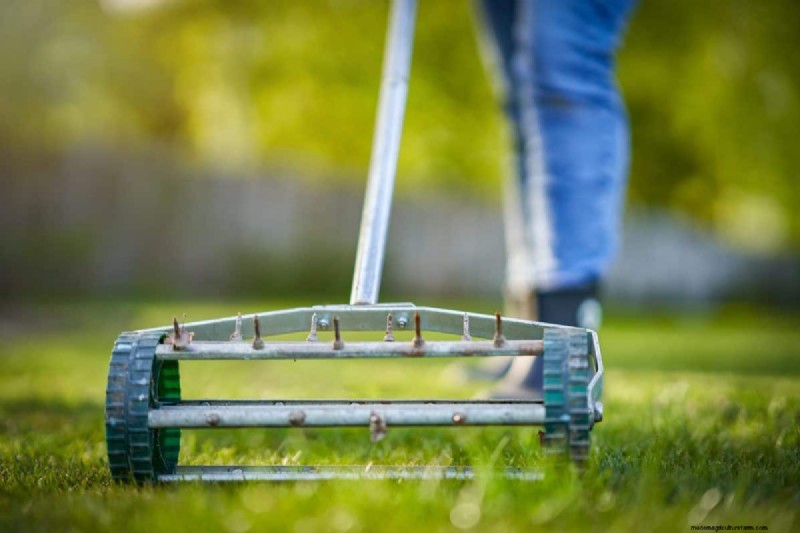 Keep Your Lawn Lush and Green This Summer: Expert Care Tips
