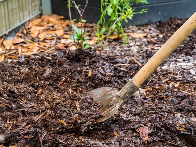 Mulch: 17 Essential Benefits for Your Summer Garden