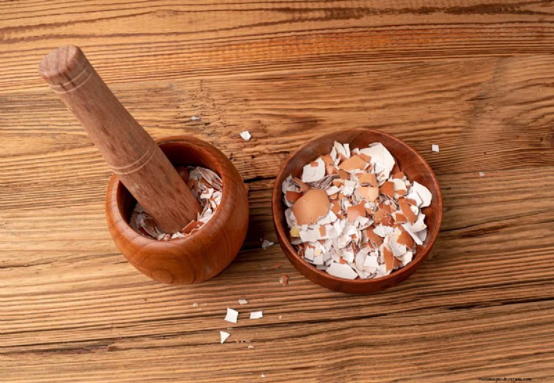 Mulch: 17 Essential Benefits for Your Summer Garden