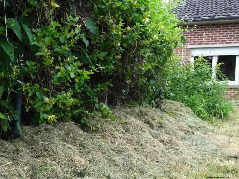 Mulch: 17 Essential Benefits for Your Summer Garden