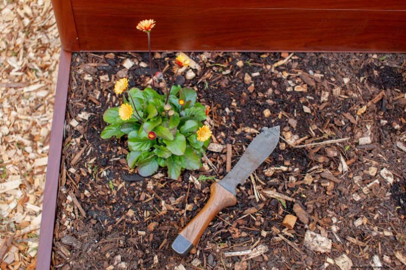Mulch: 17 Essential Benefits for Your Summer Garden