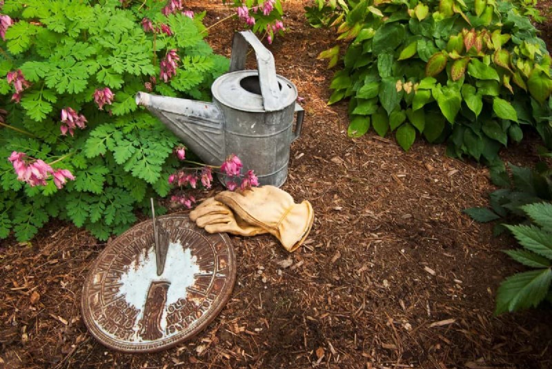 Mulch: 17 Essential Benefits for Your Summer Garden