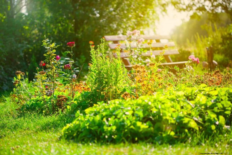 Keep Your Garden Thriving While You’re on Vacation: Expert Care Strategies