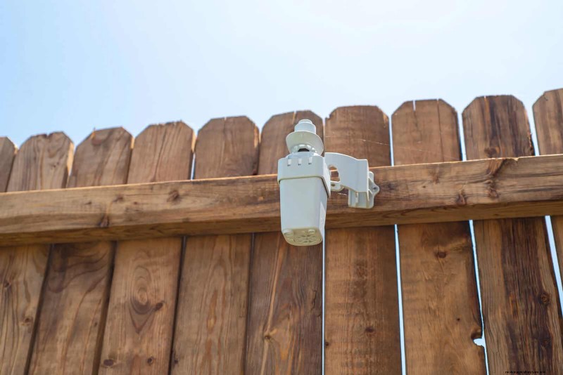 Keep Your Garden Thriving While You’re on Vacation: Expert Care Strategies