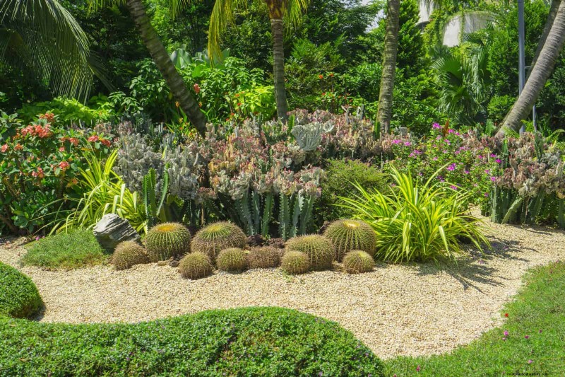 Keep Your Garden Thriving While You’re on Vacation: Expert Care Strategies