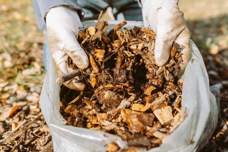 Keep Your Garden Thriving While You’re on Vacation: Expert Care Strategies