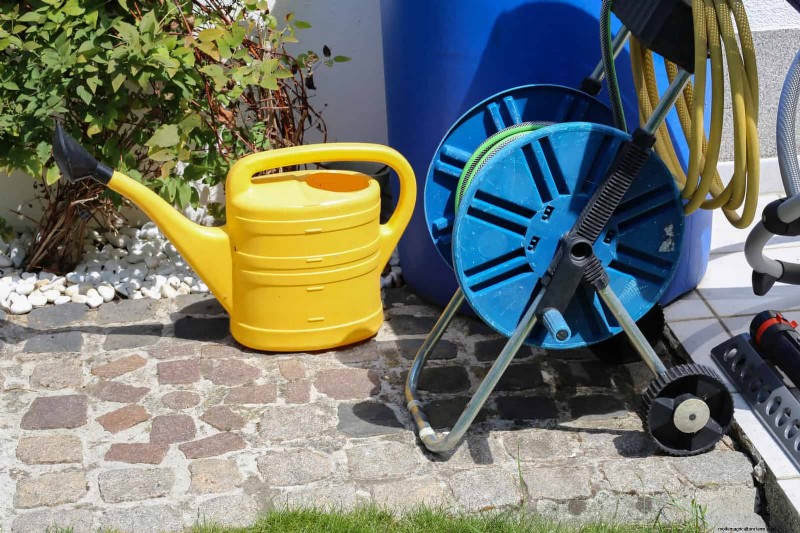 Keep Your Garden Thriving While You’re on Vacation: Expert Care Strategies