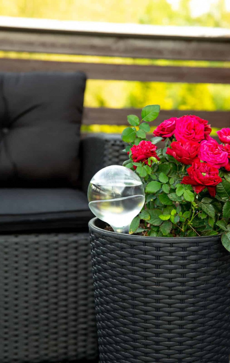 Keep Your Garden Thriving While You’re on Vacation: Expert Care Strategies