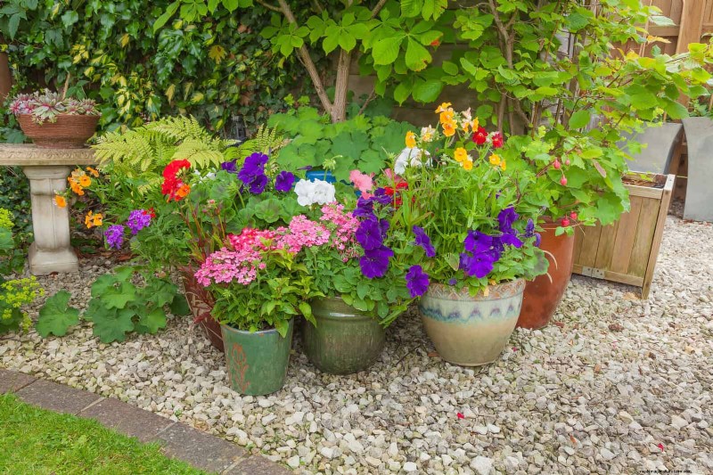 Keep Your Garden Thriving While You’re on Vacation: Expert Care Strategies