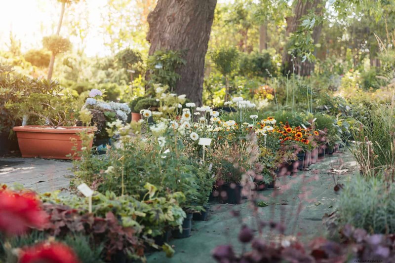 Keep Your Garden Thriving While You’re on Vacation: Expert Care Strategies