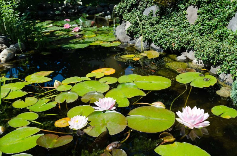 16 Easy Water Features to Transform Your Backyard This Weekend