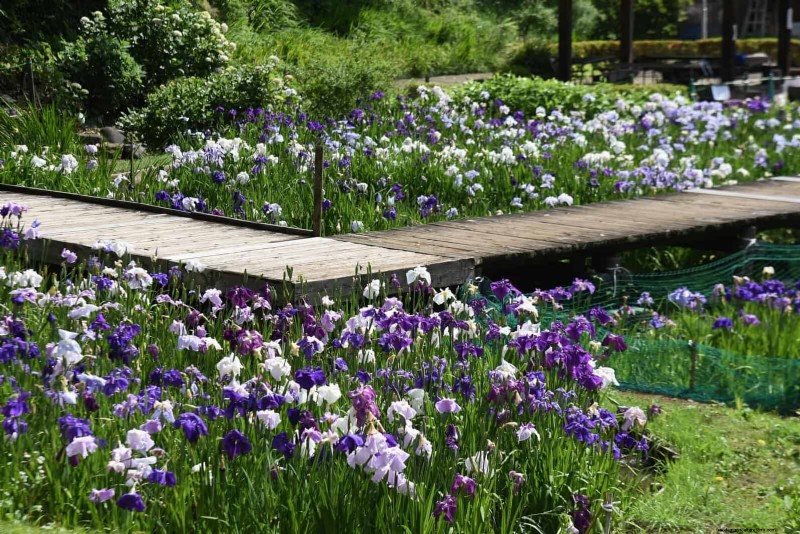 16 Easy Water Features to Transform Your Backyard This Weekend