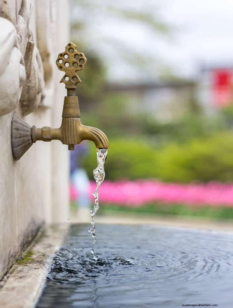 16 Easy Water Features to Transform Your Backyard This Weekend