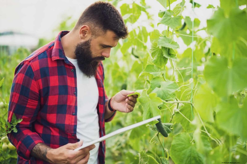 16 Summer Gardening Mistakes That Harm Your Plants (and How to Fix Them)