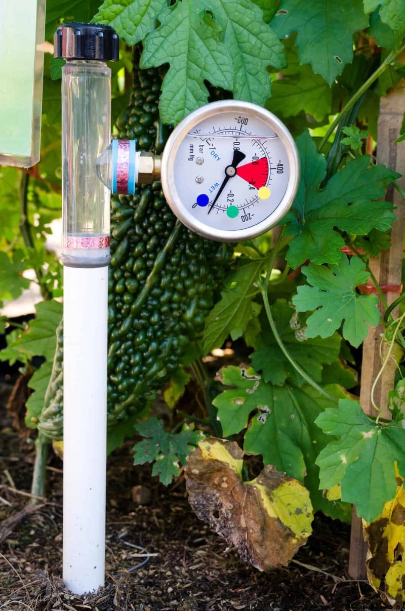 16 Summer Gardening Mistakes That Harm Your Plants (and How to Fix Them)
