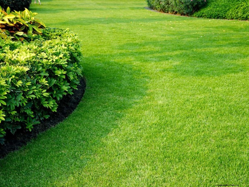 How Heat Waves Damage Lawns—and What Mowing Should Look Like