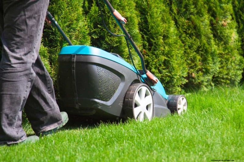 How Heat Waves Damage Lawns—and What Mowing Should Look Like