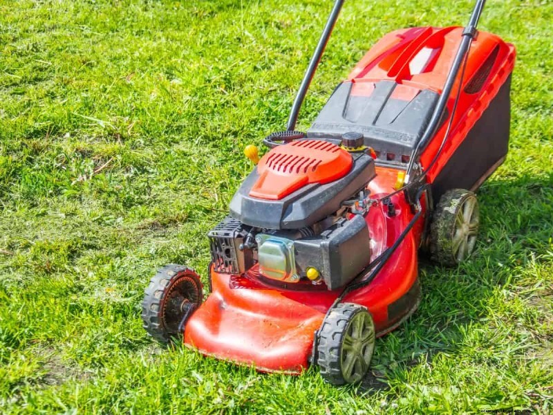 How Heat Waves Damage Lawns—and What Mowing Should Look Like