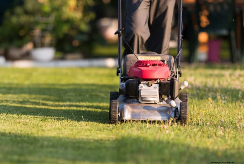 How Heat Waves Damage Lawns—and What Mowing Should Look Like