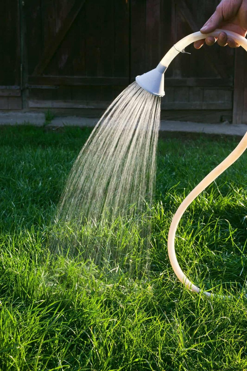How Heat Waves Damage Lawns—and What Mowing Should Look Like